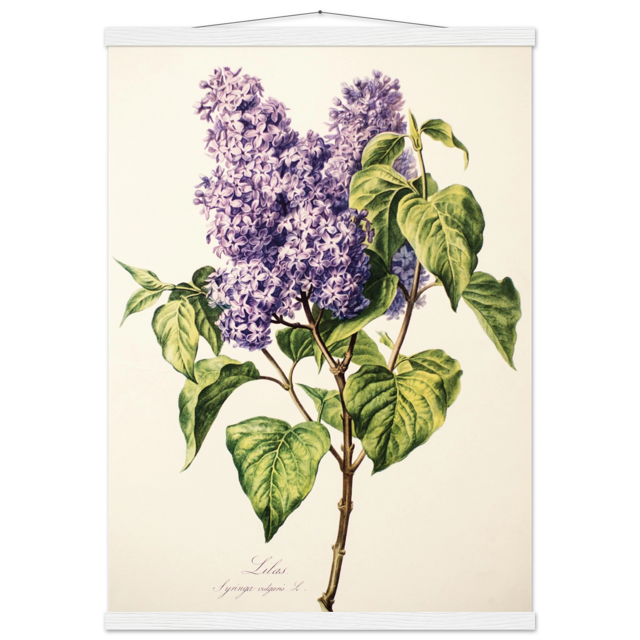 54804bb0-52ac-4be0-be0a-f8f24acf0c24