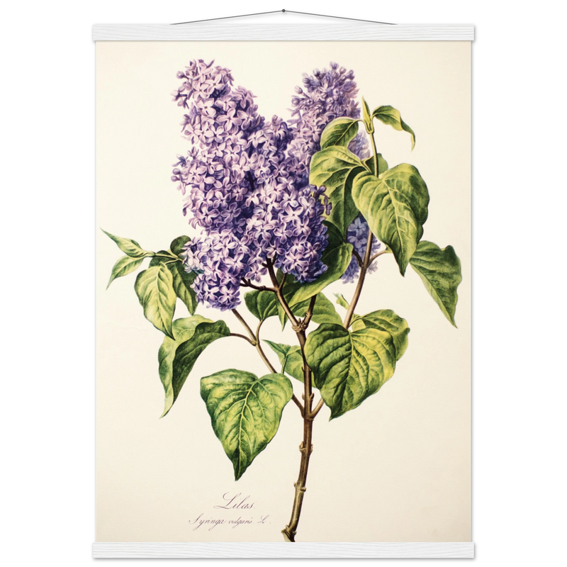 54804bb0-52ac-4be0-be0a-f8f24acf0c24