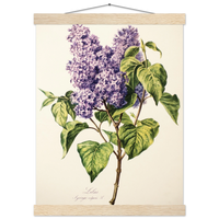 54e03469-5896-4ce7-aee7-ea879d647aa6