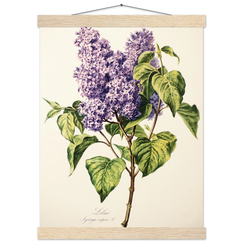 54e03469-5896-4ce7-aee7-ea879d647aa6