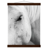 556ce6e8-04a8-442b-80e8-b0f3d4ef4865