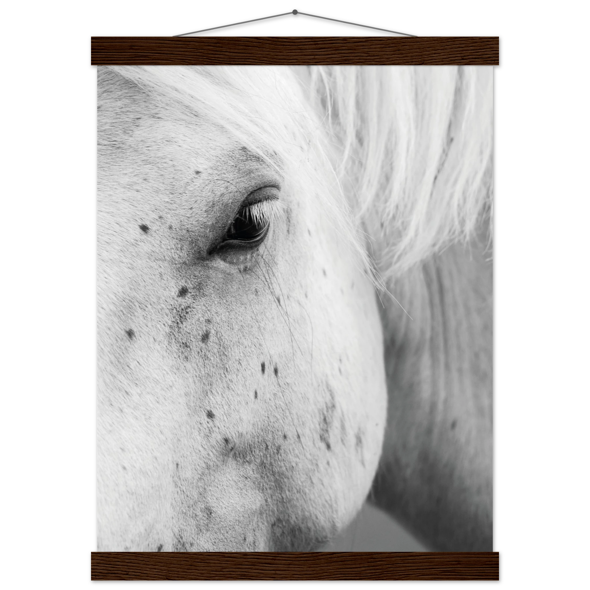 556ce6e8-04a8-442b-80e8-b0f3d4ef4865