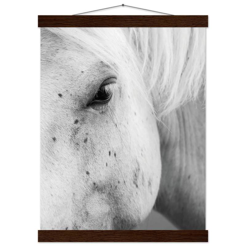 556ce6e8-04a8-442b-80e8-b0f3d4ef4865