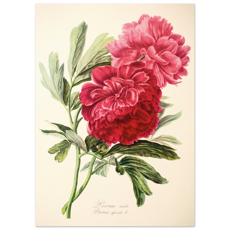 55c060a4-4071-4e29-81d8-f9f568a0b52b