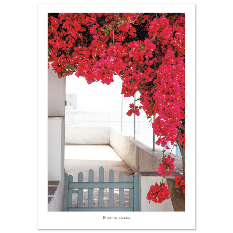 55d6e16a-6e56-4c4f-81b6-cb64658b7955