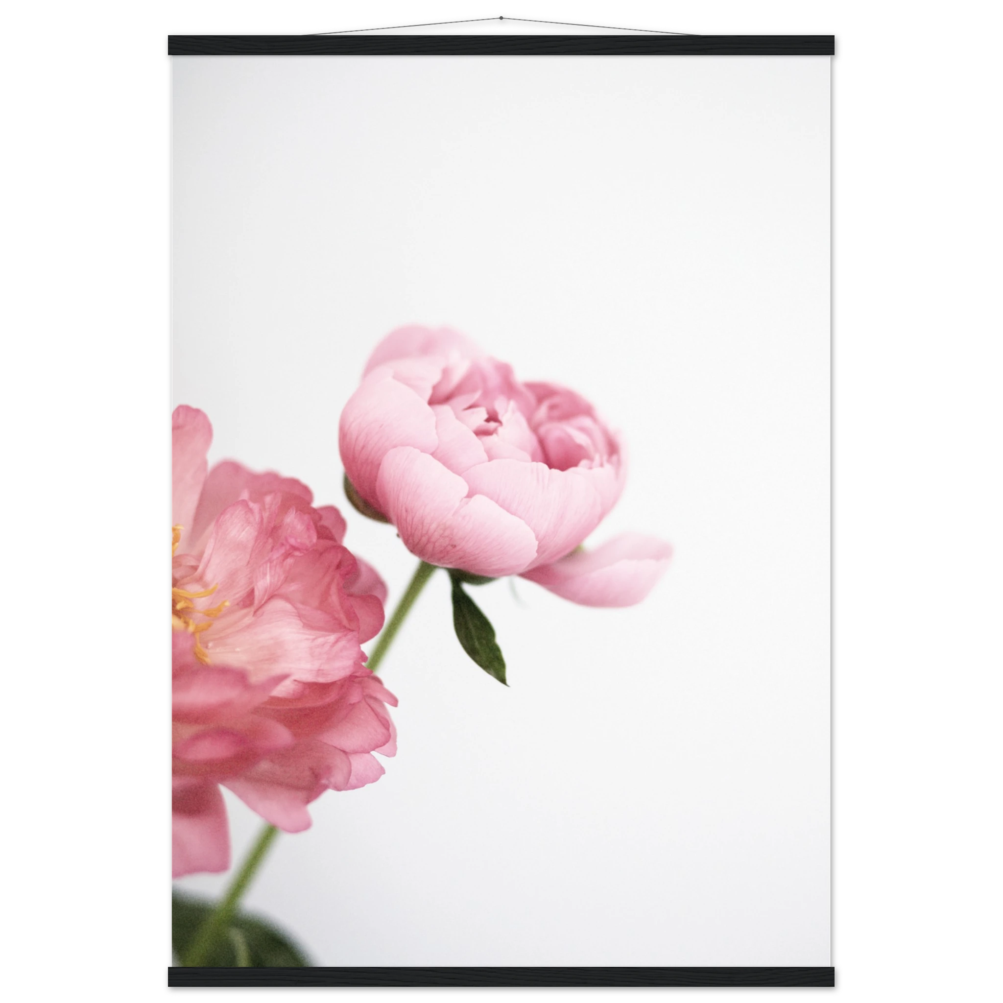 5687fc14-27b4-4323-892a-526a75b5ffcd