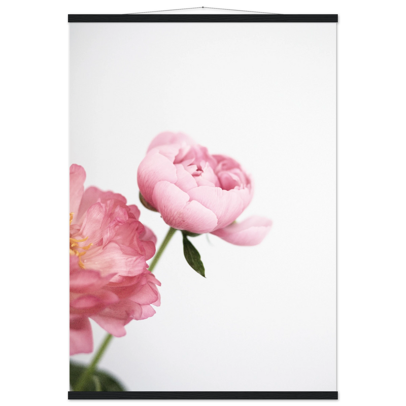 5687fc14-27b4-4323-892a-526a75b5ffcd