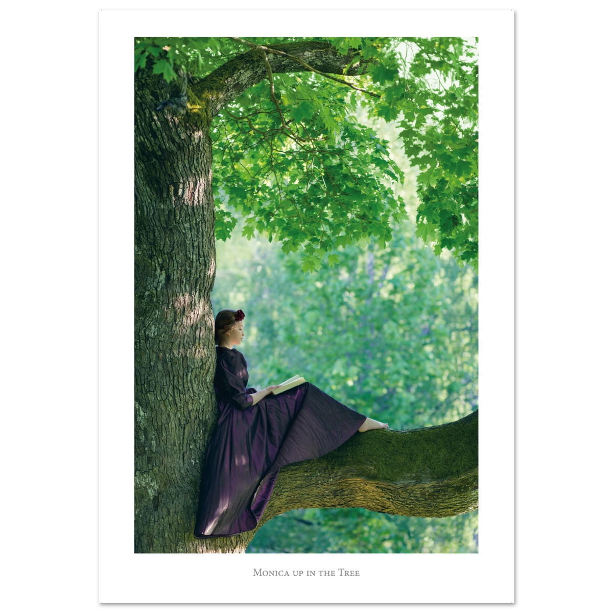 56e92a70-c3e9-4b95-b1bd-a95a0fb03195