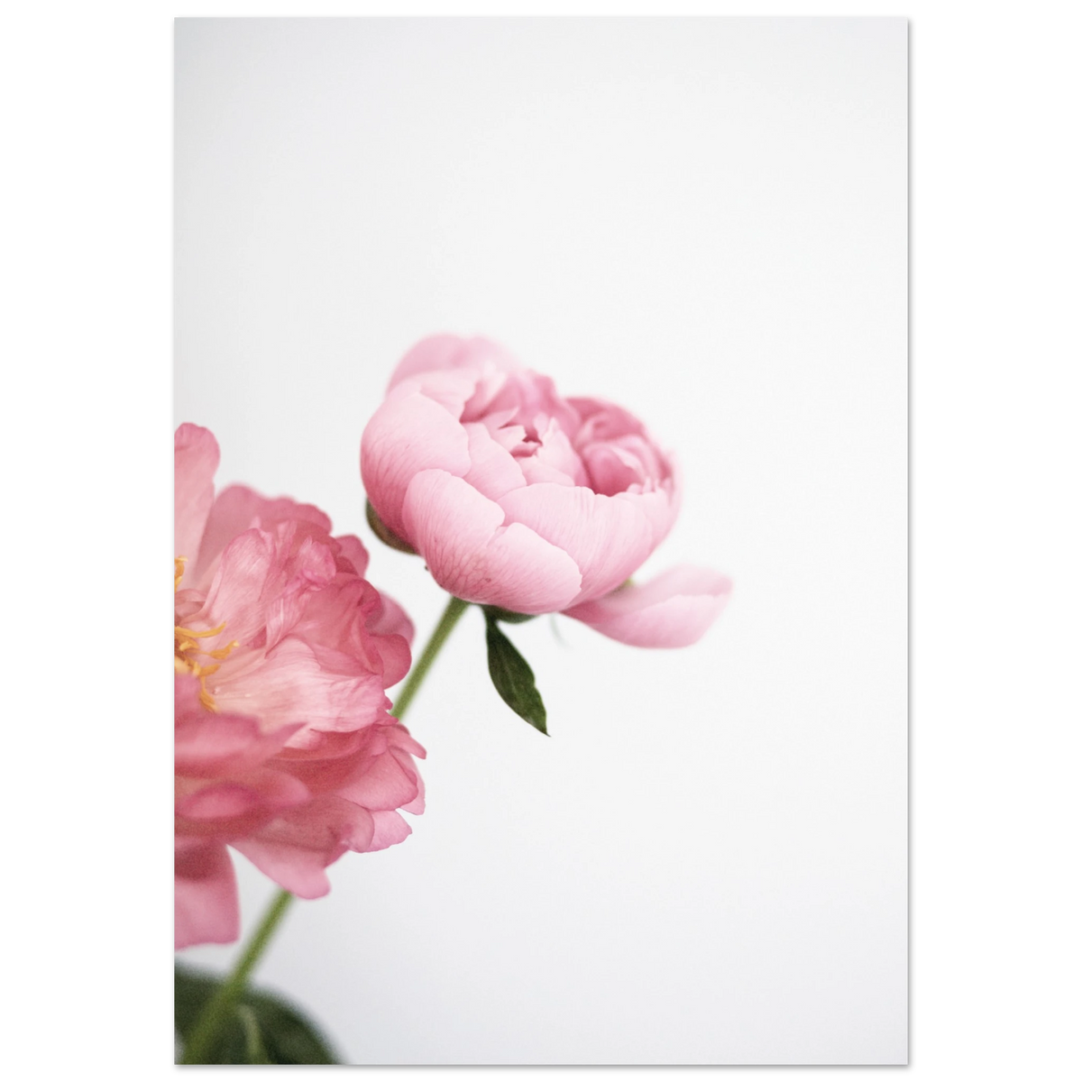 57634ac1-88ec-4c52-9bb9-daa2c03522eb