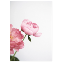 57634ac1-88ec-4c52-9bb9-daa2c03522eb