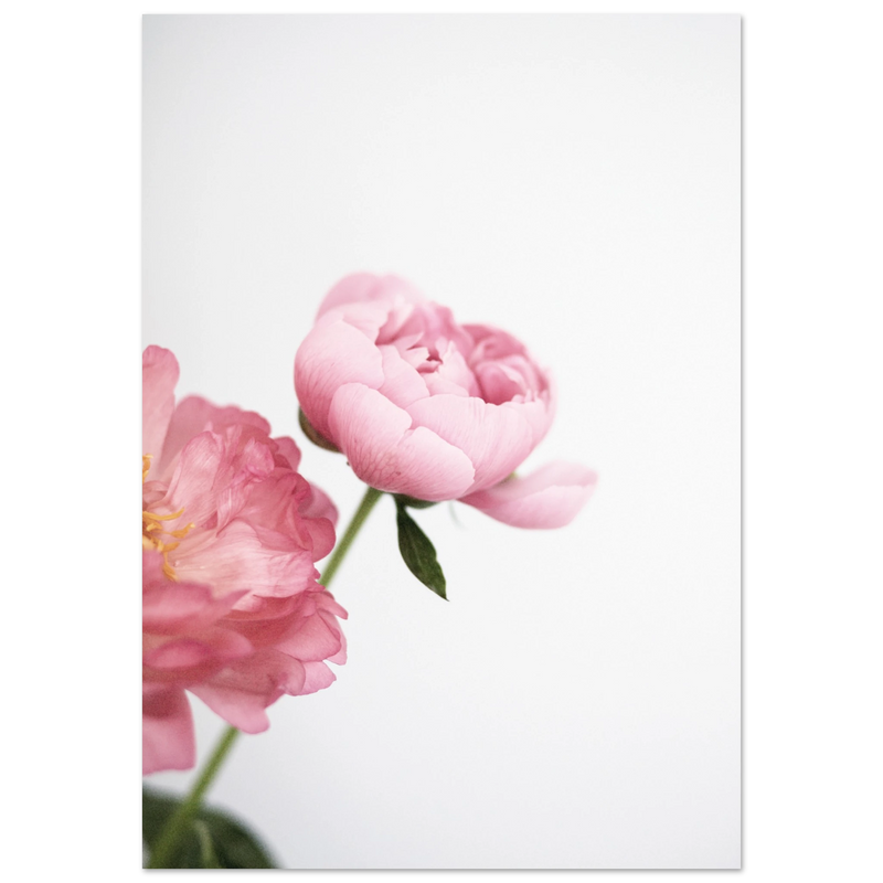 57634ac1-88ec-4c52-9bb9-daa2c03522eb