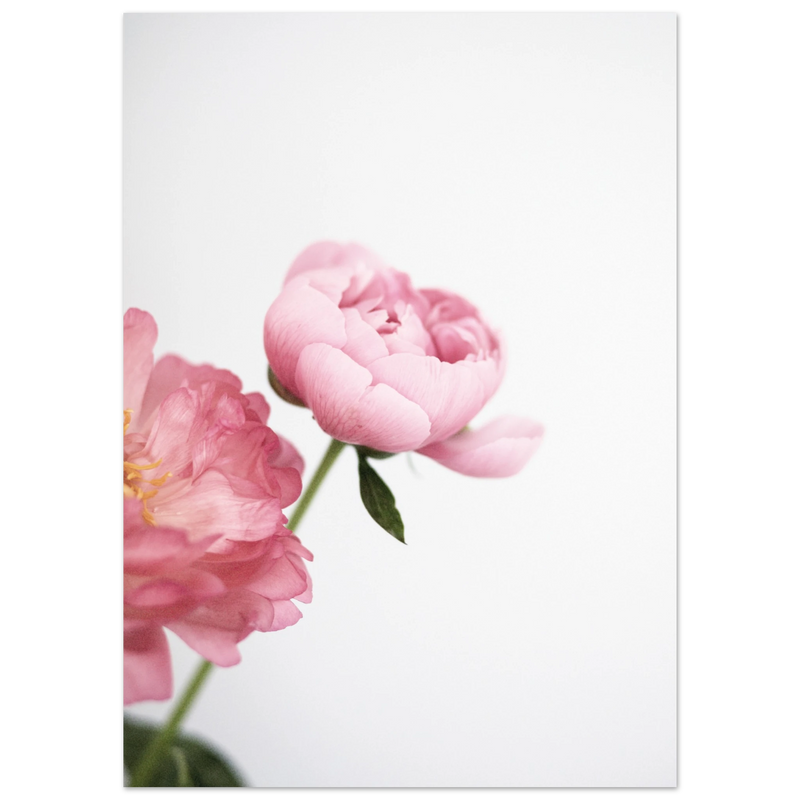 5825520d-b5df-4c88-b1a2-7cb52b4b87a6