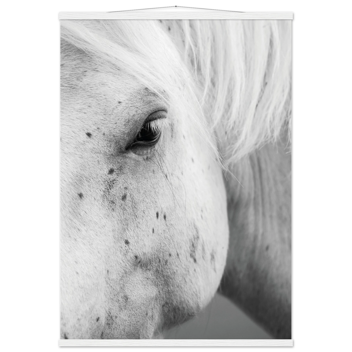 5a125bbf-df16-4534-838e-b44a437134e4