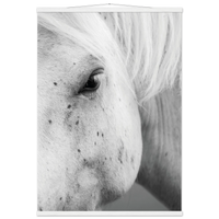 5a125bbf-df16-4534-838e-b44a437134e4