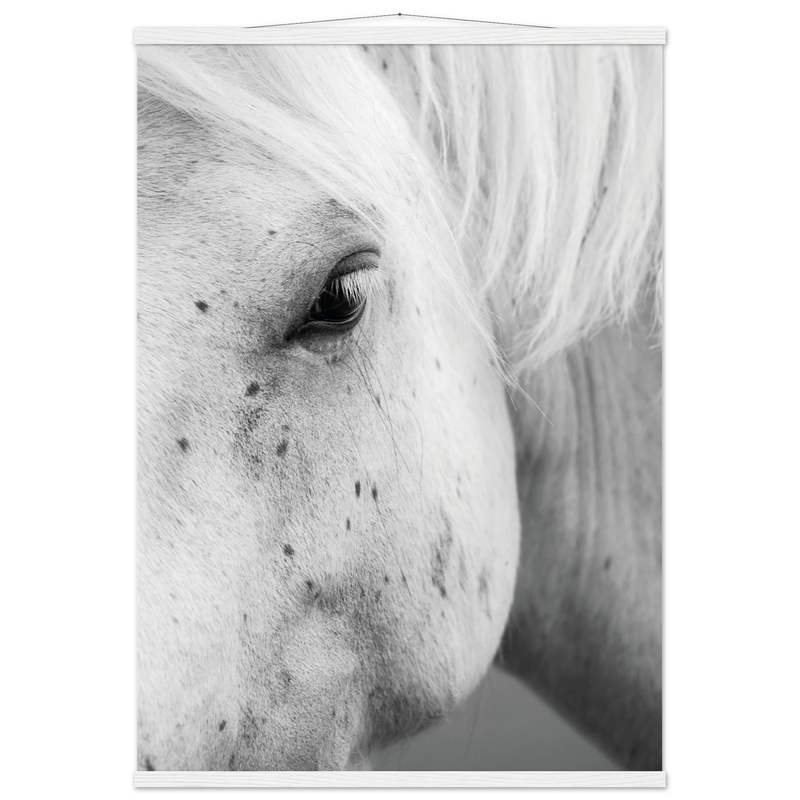 5a125bbf-df16-4534-838e-b44a437134e4