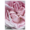 5a23d72d-078a-46be-af6e-e22935372936