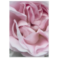 5a23d72d-078a-46be-af6e-e22935372936