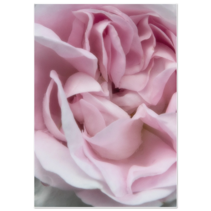 5a23d72d-078a-46be-af6e-e22935372936