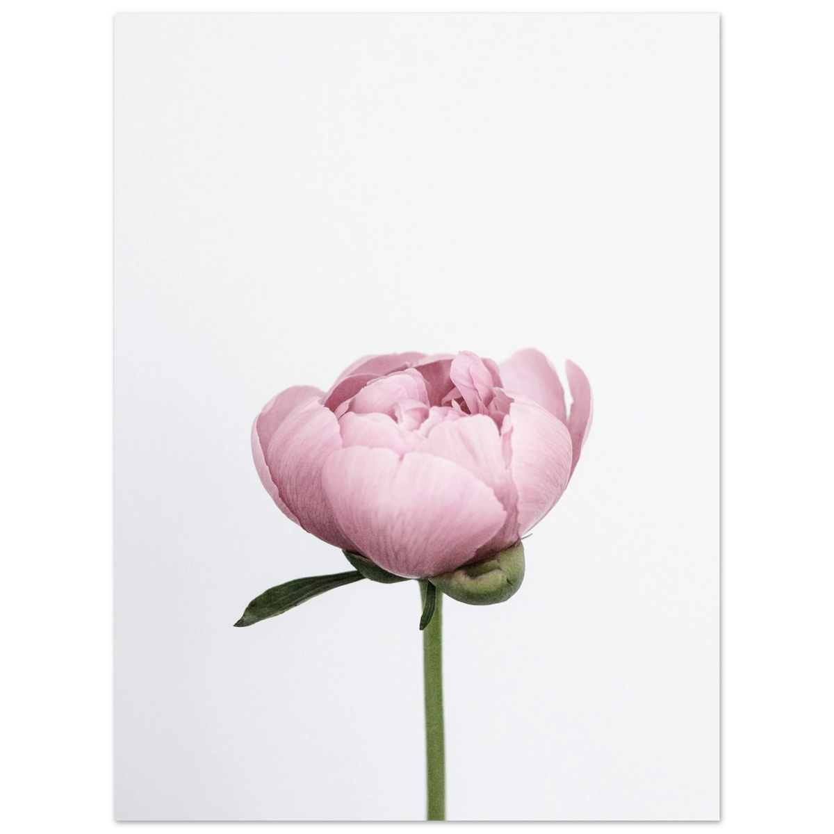 5a4133cd-f4b9-4434-a268-2124c3c4bb1a