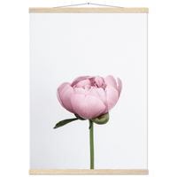 5a8bb10e-02ff-498e-92cd-f9df0e69558a