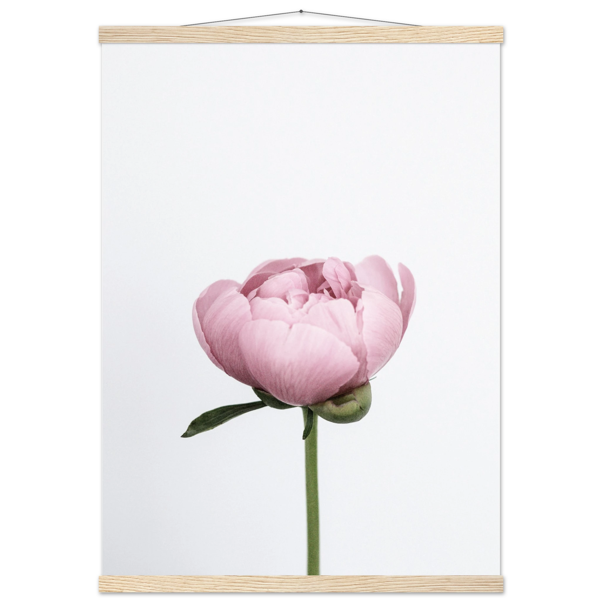 5a8bb10e-02ff-498e-92cd-f9df0e69558a