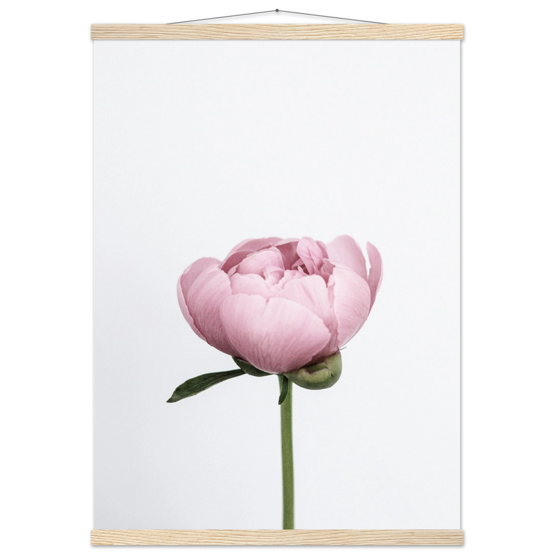 5a8bb10e-02ff-498e-92cd-f9df0e69558a