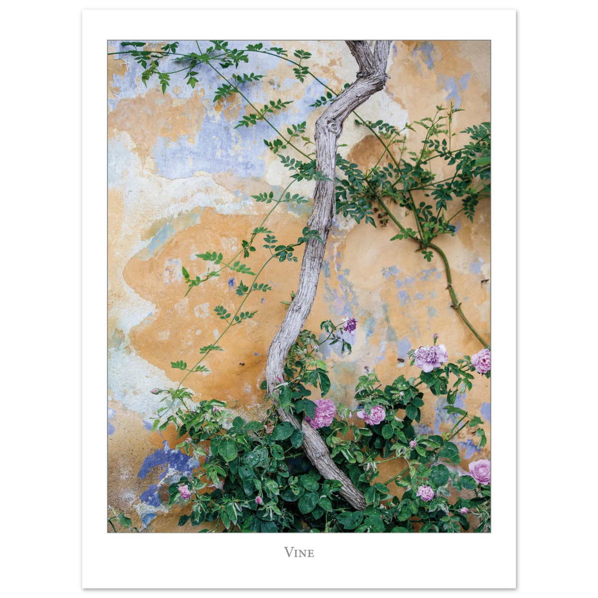 5b6ed336-5fe0-4230-8990-b87936d0ef69