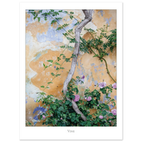 5b6ed336-5fe0-4230-8990-b87936d0ef69