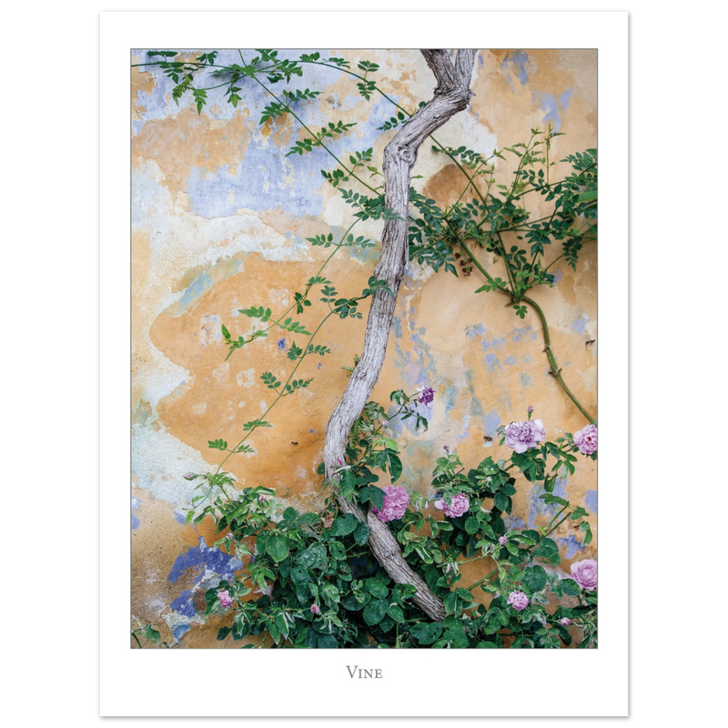 5b6ed336-5fe0-4230-8990-b87936d0ef69