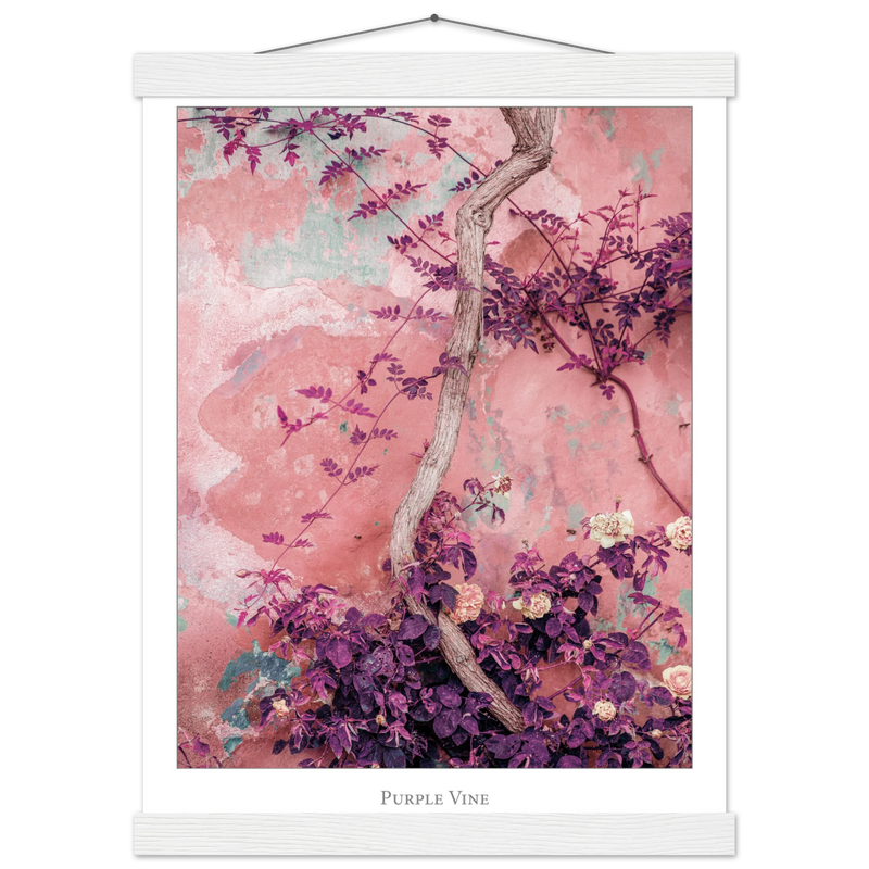 5ca33100-3ee8-4217-8e45-39b829247147