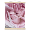 5db0913a-9608-4115-ad39-4e34de1b7dfa