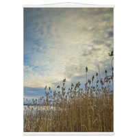 5f33c578-a480-4e98-a3ea-c3d8f880ceaa