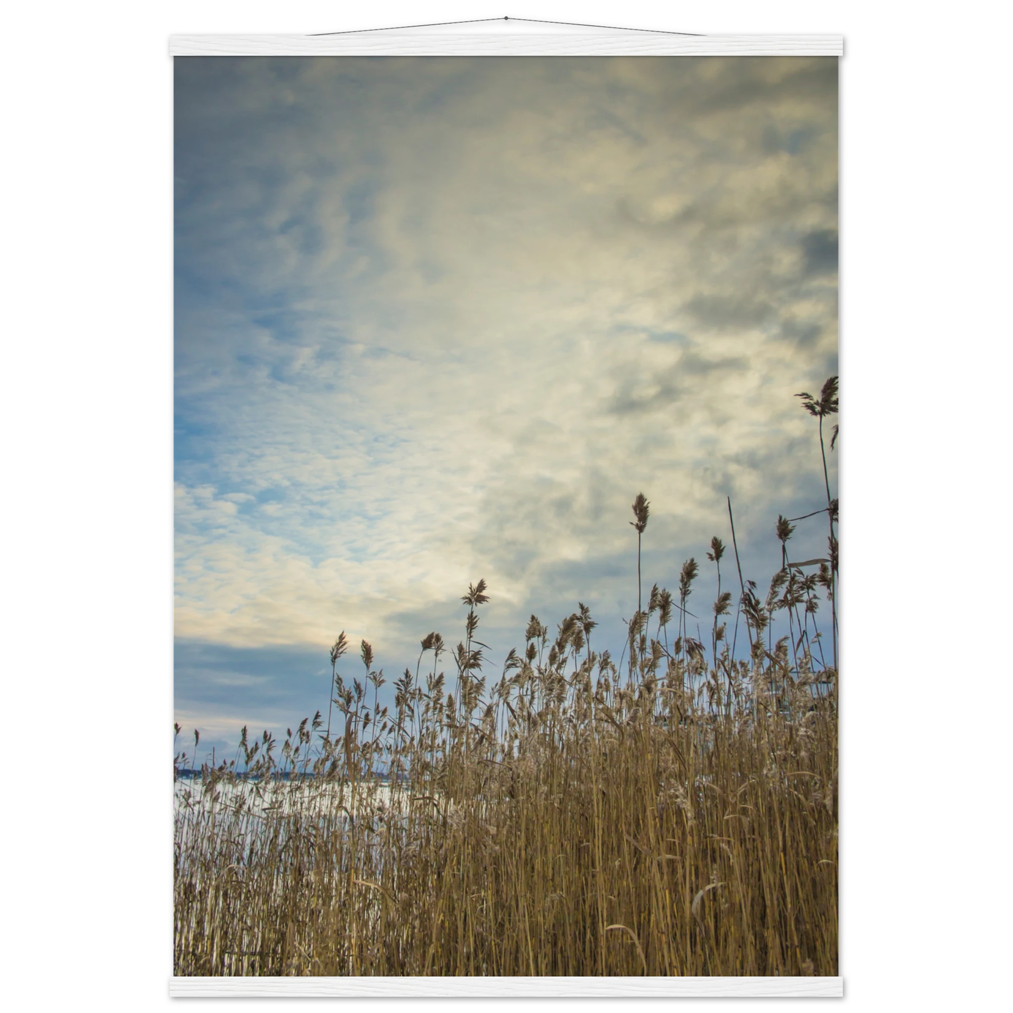 5f33c578-a480-4e98-a3ea-c3d8f880ceaa