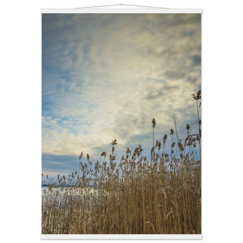 5f33c578-a480-4e98-a3ea-c3d8f880ceaa