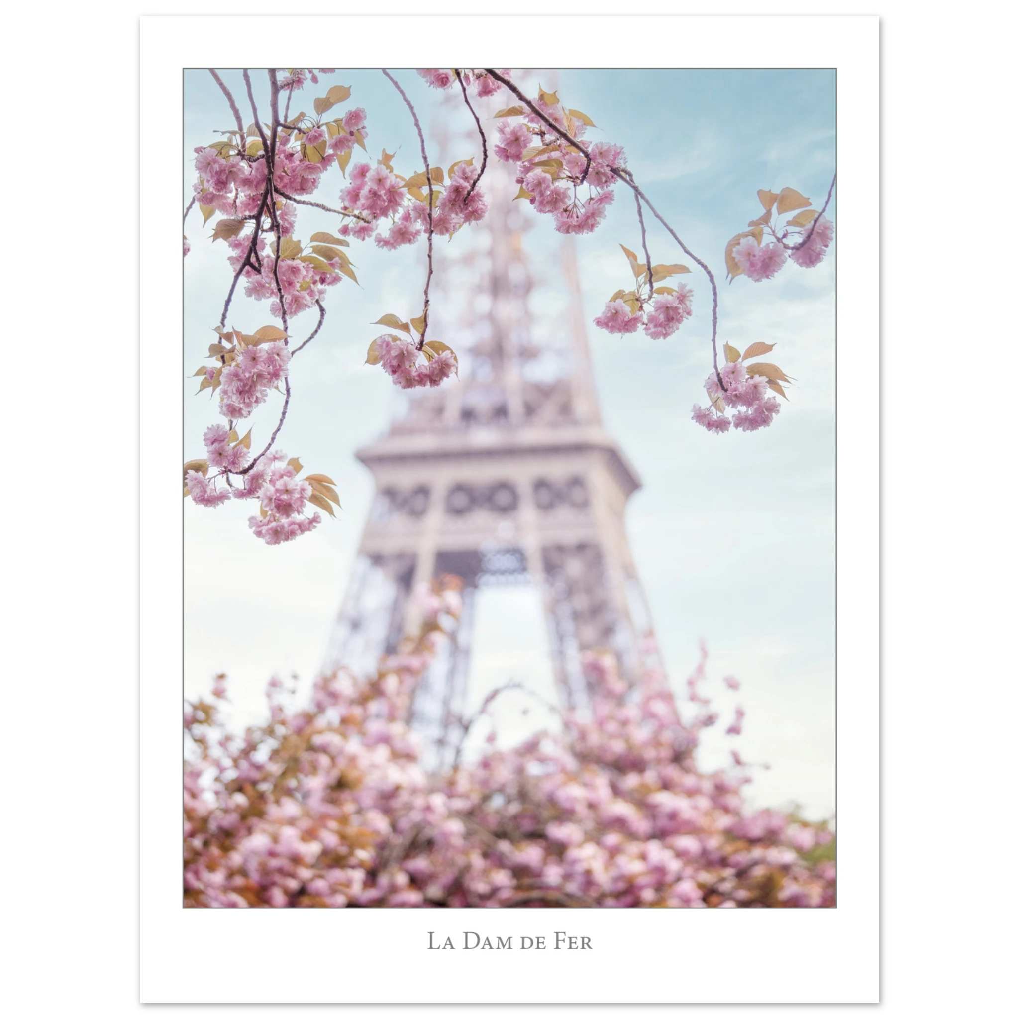 5f503645-70e0-4a80-8b7b-984a19a2e7a1