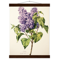 5f5271d4-7fc6-4417-9758-85b64fbb565e