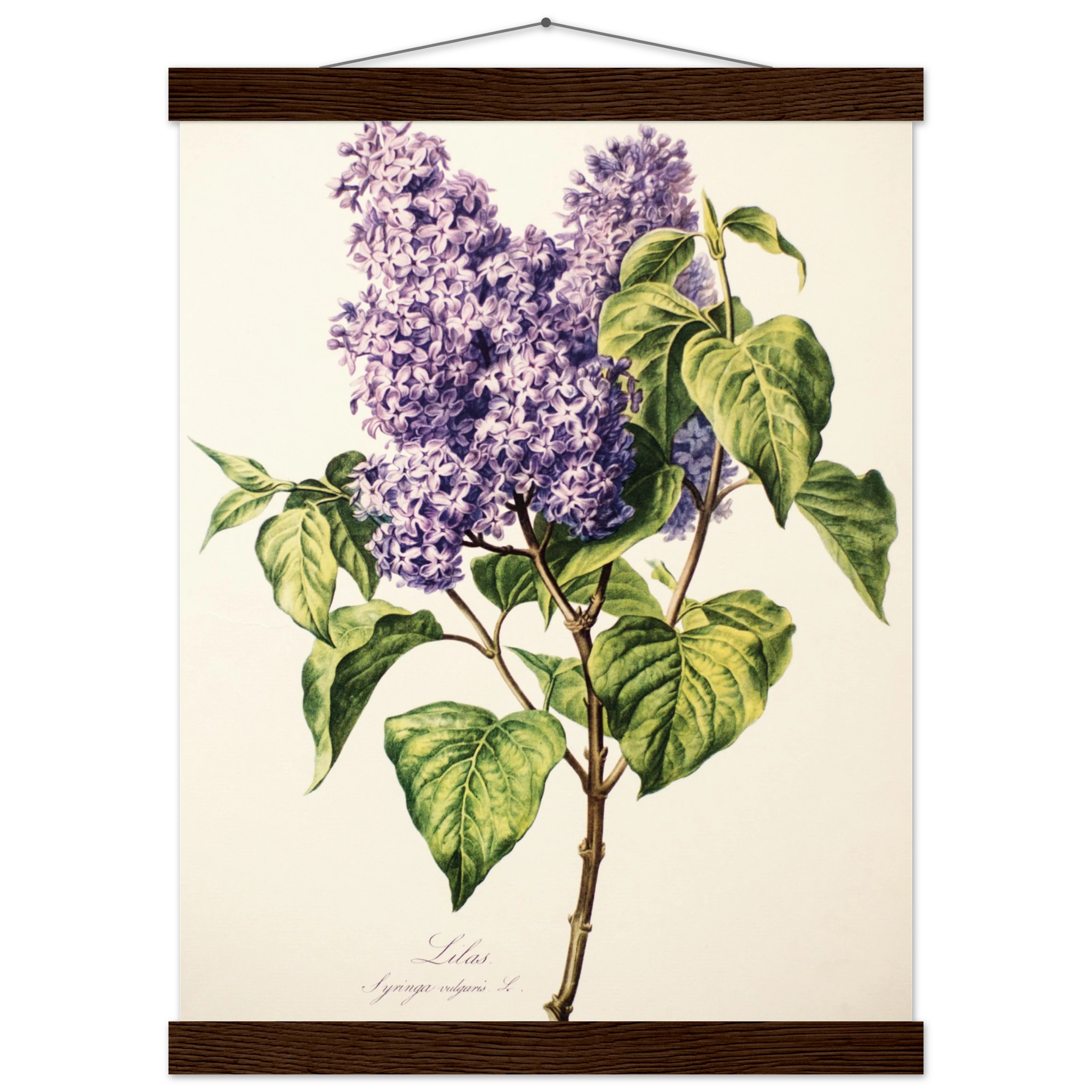 5f5271d4-7fc6-4417-9758-85b64fbb565e