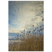 5fe7398a-06d9-4283-aa79-372ae73e2cdf