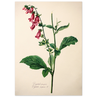 5ffe919c-39b2-4a1d-912c-2c65fa7e58da