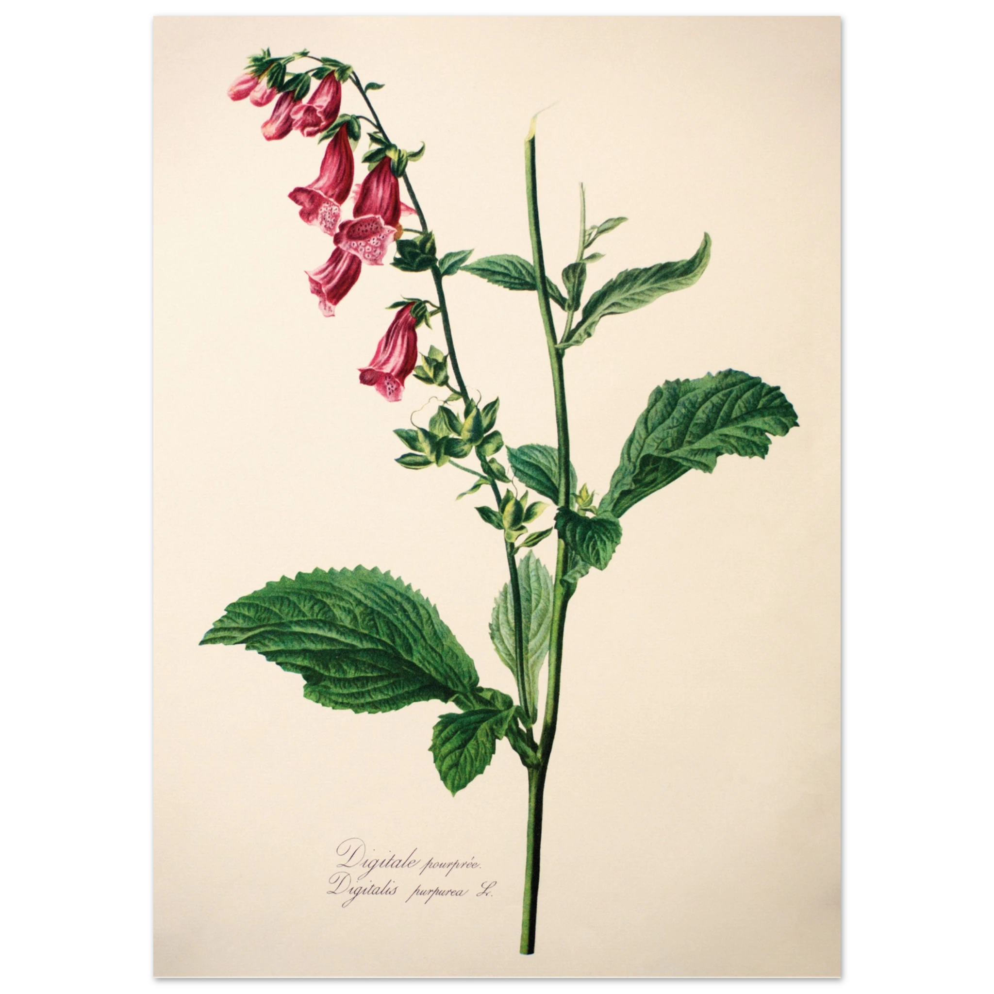 5ffe919c-39b2-4a1d-912c-2c65fa7e58da