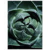 604bb5c3-8735-40ce-9ef5-4c7605f76124