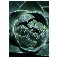 604bb5c3-8735-40ce-9ef5-4c7605f76124