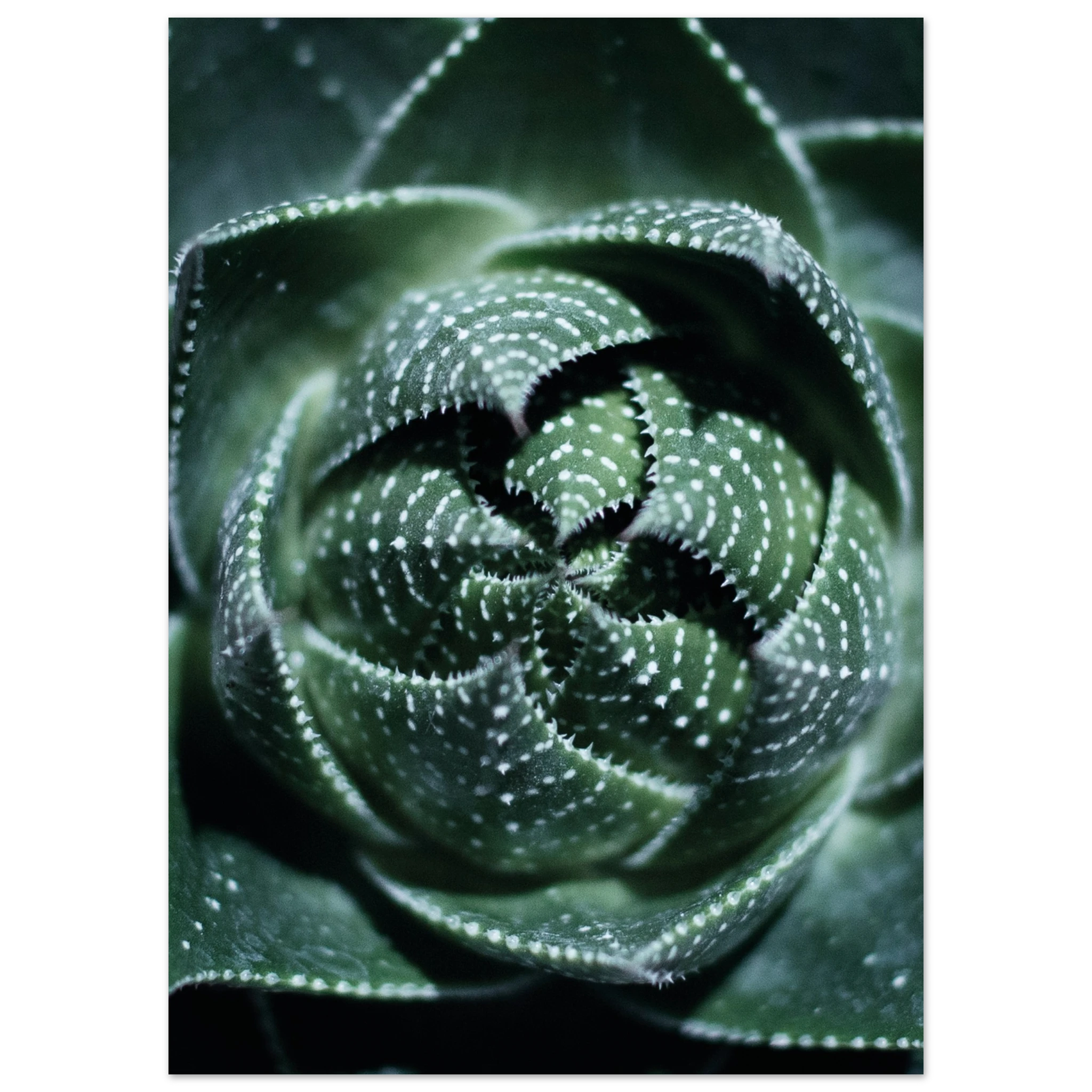 604bb5c3-8735-40ce-9ef5-4c7605f76124