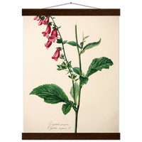 609480f7-7740-4821-8106-05288cc14c0a