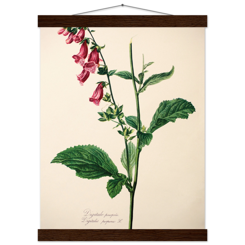 609480f7-7740-4821-8106-05288cc14c0a