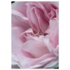 60b1d754-80af-41ec-95ef-a8a72b671642