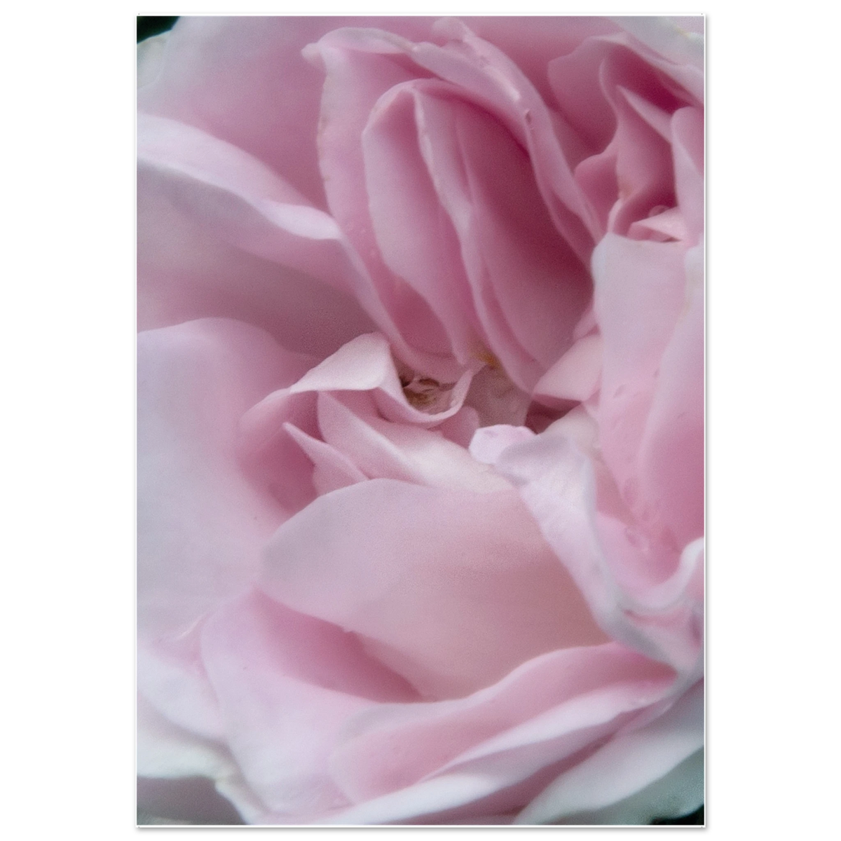 60b1d754-80af-41ec-95ef-a8a72b671642