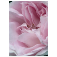60b1d754-80af-41ec-95ef-a8a72b671642