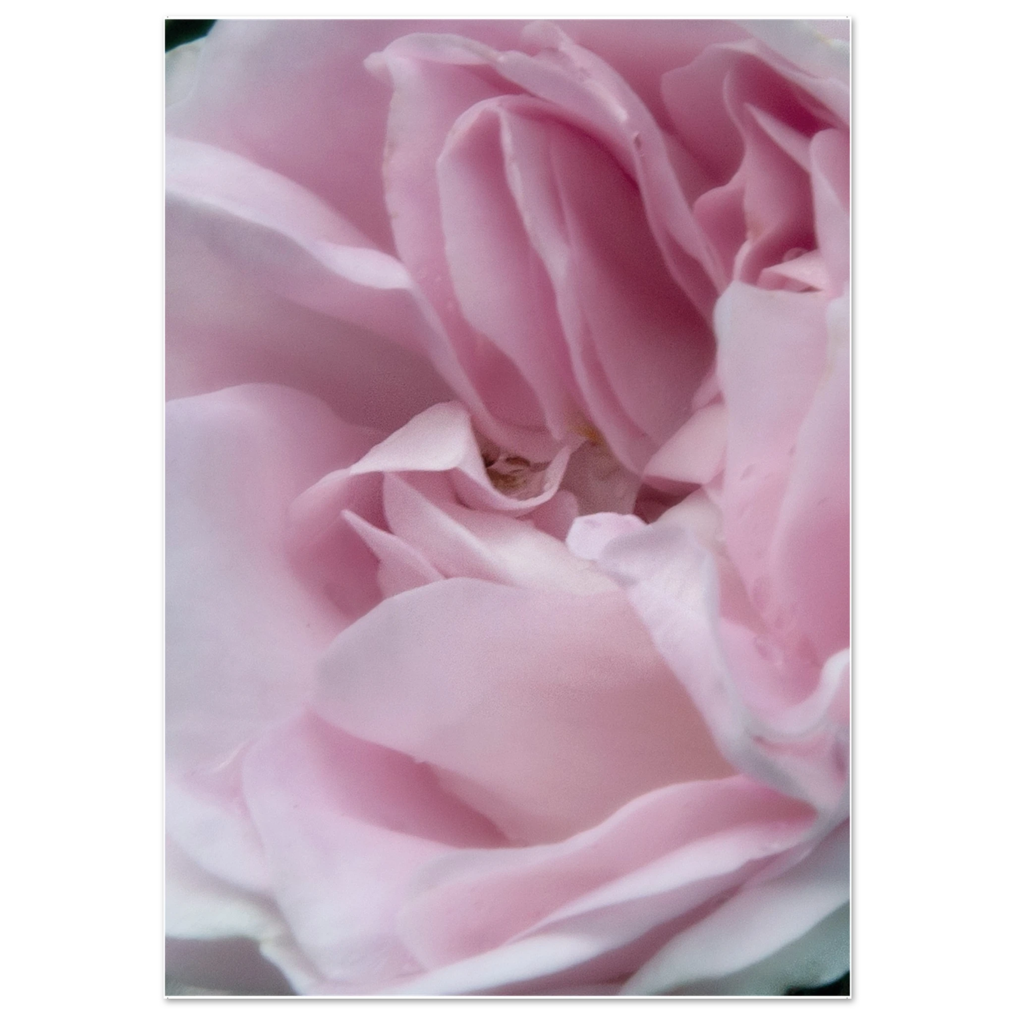 60b1d754-80af-41ec-95ef-a8a72b671642