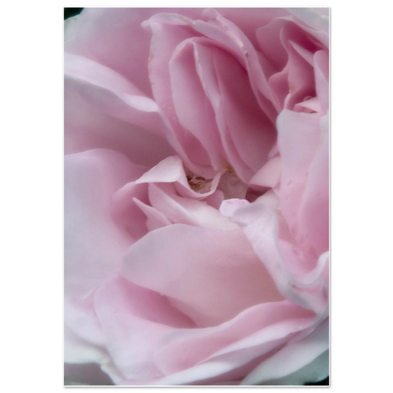 60b1d754-80af-41ec-95ef-a8a72b671642